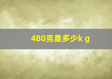 480克是多少k g